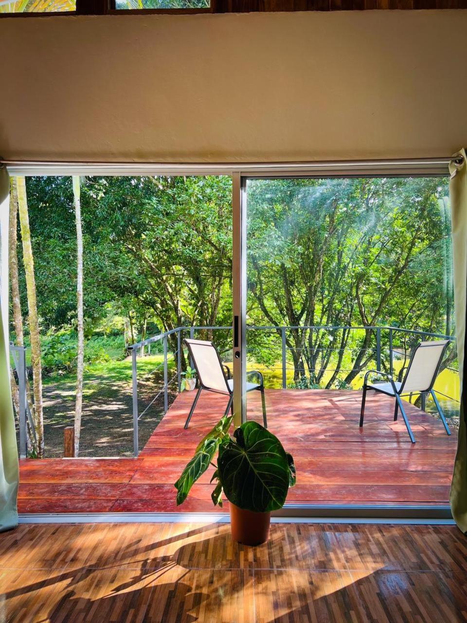 Ficus House Apartamento Boca Tapada Exterior foto