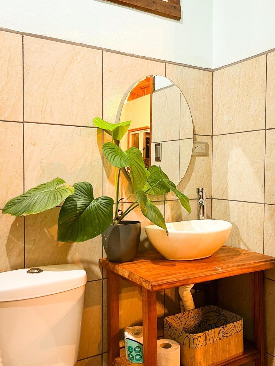 Ficus House Apartamento Boca Tapada Exterior foto